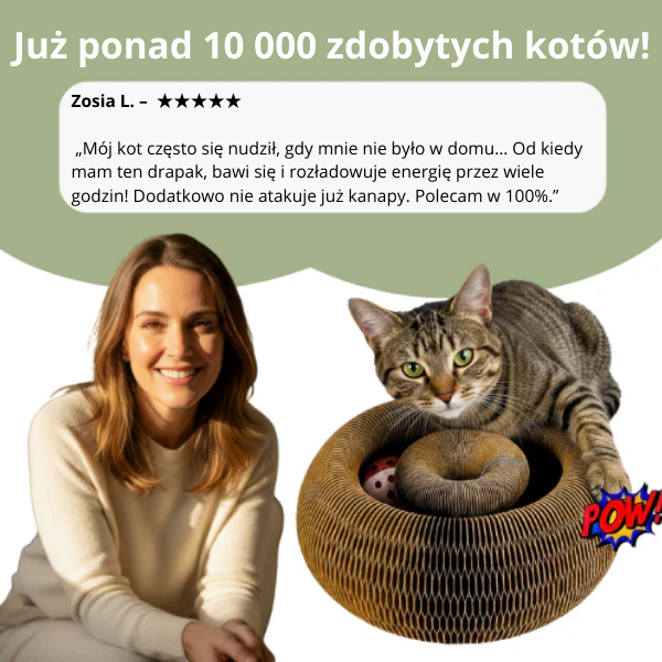 Interaktywny drapak dla kota