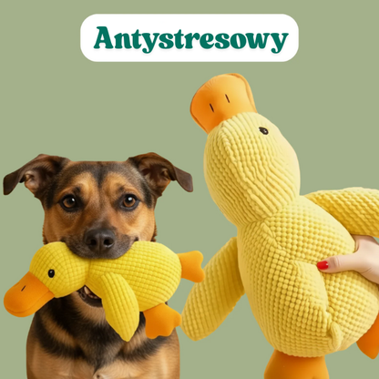 ZenDuck - Kaczuszka antystresowa