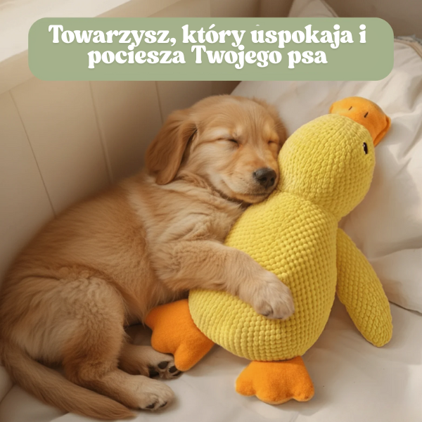 ZenDuck - Kaczuszka antystresowa