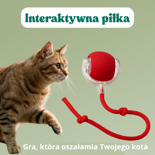 CrazyBall -Piłka interaktywna