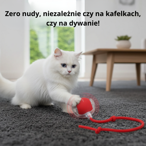 CrazyBall -Piłka interaktywna