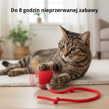 CrazyBall -Piłka interaktywna