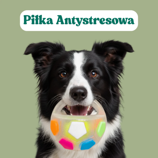 DogPlay – Piłka Antystresowa