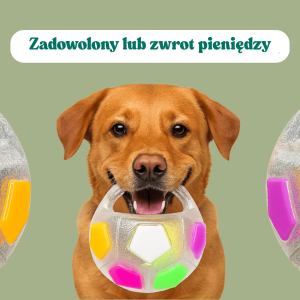 DogPlay – Piłka Antystresowa