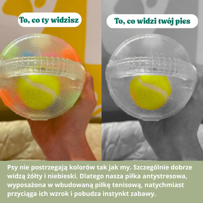 DogPlay – Piłka Antystresowa