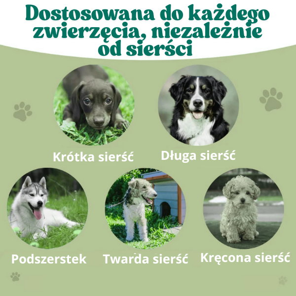 Magiczna szczotka dla psa