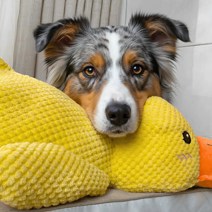 ZenDuck - Kaczuszka antystresowa